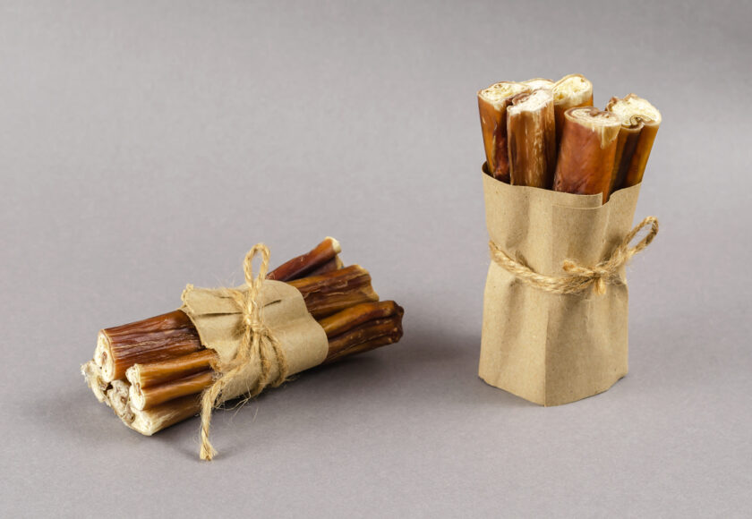 Stick e Snack per Cani